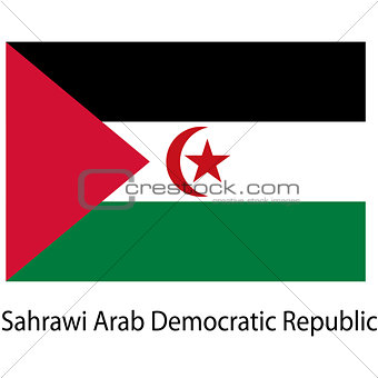 Flag  of the country  sahrawi arab democratic republic. Vector i