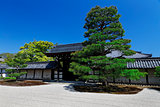Japanese garden