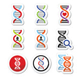 DNA, genetics vector icons set