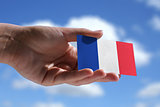 Small French flag 
