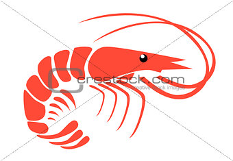 Shrimp 