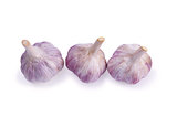 Garlic set isolated on white background