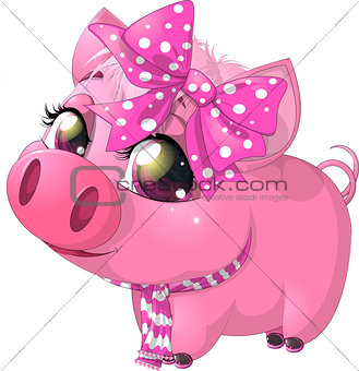 glamour pig