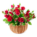 bouquet red roses in basket
