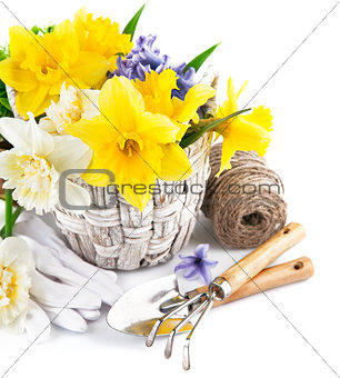 Spring flowers in basket with garden tools