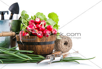 Fresh radish and green onion with garden tools