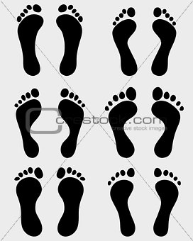 human feet