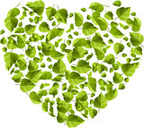 Heart made of green leaves. Eco concept