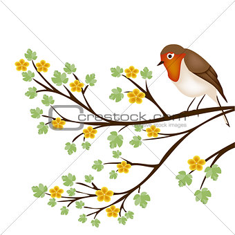tree branch with a robin