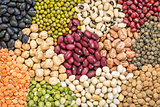 bean, lentils and pea abstract