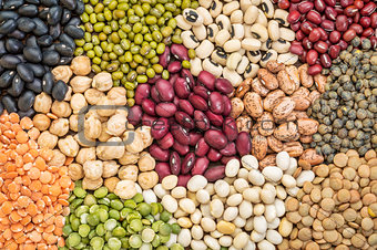bean, lentils and pea abstract