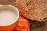 cup of coconut milk 
