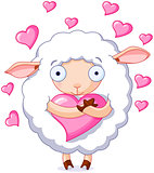 In love sheep