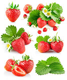 Set berry strawberry with leaves and flowers