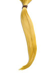 Golden blond hair, ponytail 