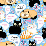 pattern of funny cats