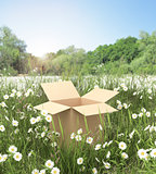 cardboard box on the grass field
