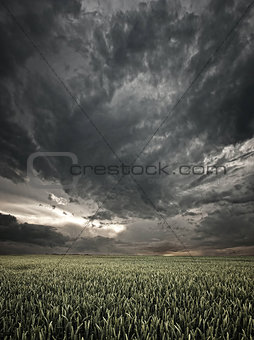 stormy field view