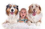 baby and dogs