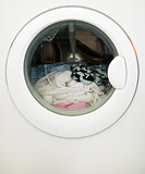 Laundry Machine