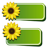 Vector stickers and sunflower