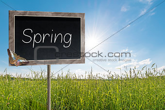 Chalkboard with text Spring