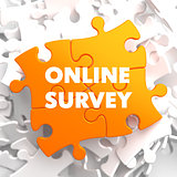 Online Survey on Orange Puzzle.