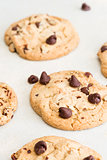 fresh backed chocolate chip cookies 