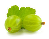 Ripe Gooseberries and Leaf Isolated on White Background