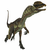 Dilophosaurus Dinosaur over White