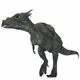 Dracorex Dinosaur over White