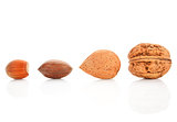 Nuts collection on white.