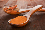 Cinnamon powder on wooden spoon.