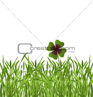 shamrock leaf in grass