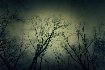 Grunge Tree Branches over Sky