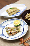 honmoroko, willow gudgeon, japanese cuisine
