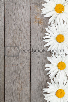 Daisy camomile flowers on wooden background