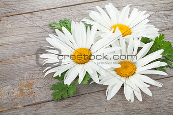 Daisy camomile flowers on wooden table