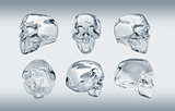 glass skull many angle view