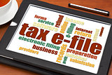 tax e-file word cloud