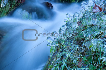 icicle and frozen water on grass by river