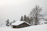 Barn on Snowy Field