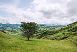 View over Monteverde