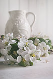 Apple blossom flowers with jug in background