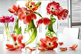 Colorful spring tulips in milk bottles on table