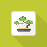 flat style bonsai icon with shadow