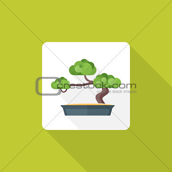 flat style bonsai icon with shadow