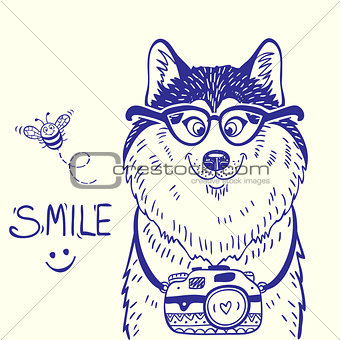 Husky smile  doodle