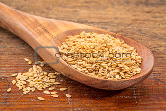 gold flax seeds 