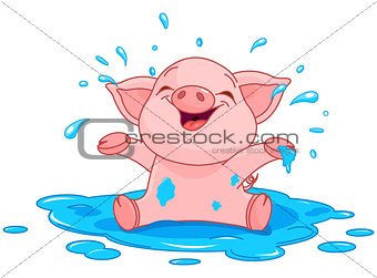 Piggy in a puddle